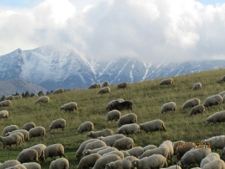 okolie, pohľad na Malú Fatru